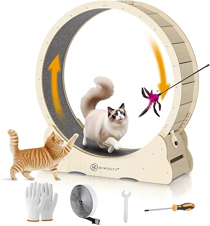 Miwooyy – Cat Exercise Wheel